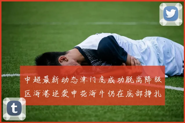 中超最新动态津门虎成功脱离降级区海港逆袭申花海牛仍在底部挣扎