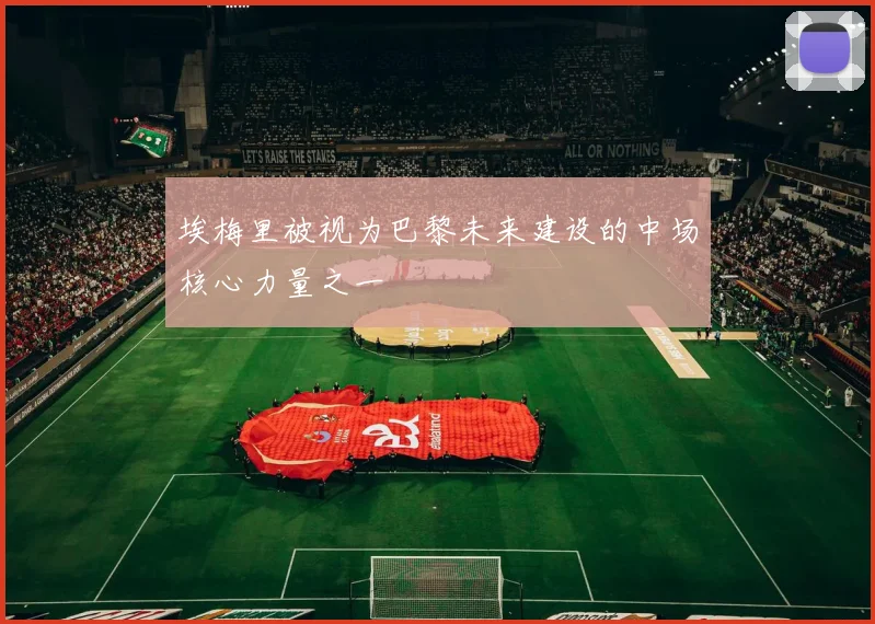 埃梅里被视为巴黎未来建设的中场核心力量之一