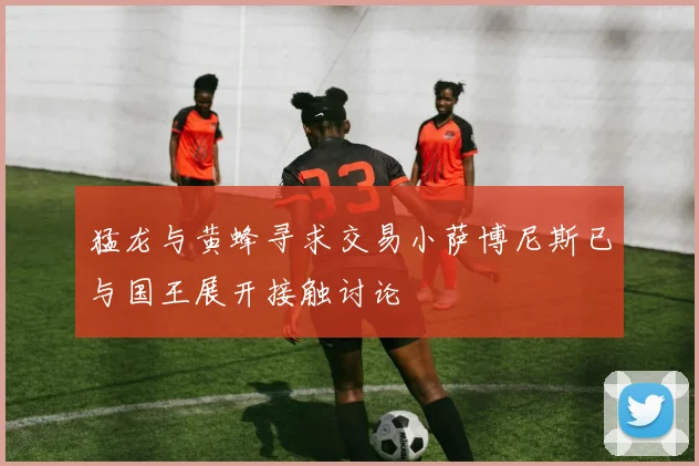猛龙与黄蜂寻求交易小萨博尼斯已与国王展开接触讨论